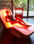 EnergyLounger — FREE Blanket + 2-Hour Expert Consultation with Barry Warrington